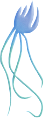 polip_2