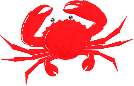 rak_3.png