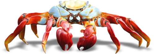 rak_33.png