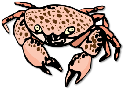 rak_49.png