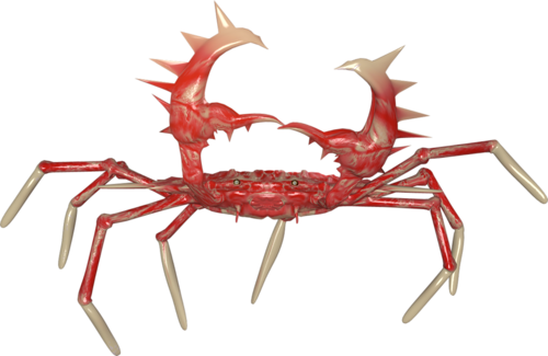 rak_61.png