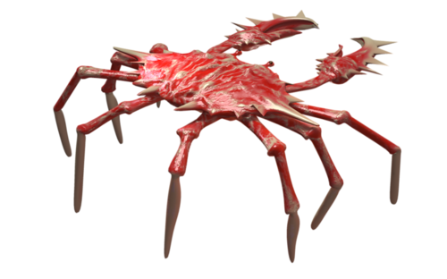 rak_64.png