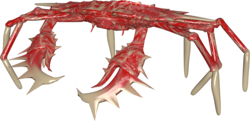 rak_67.png