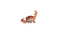 rak_17