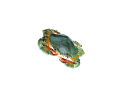 rak_19