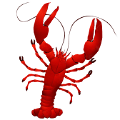 rak_2