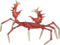 rak_60
