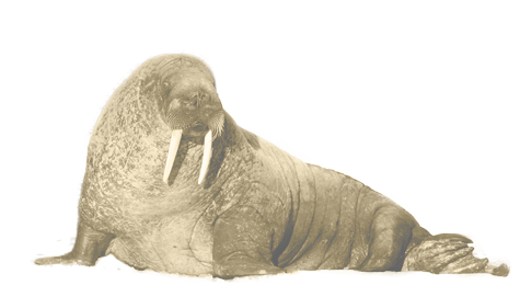 rozmar_14.png