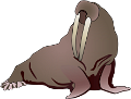 rozmar_1