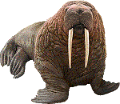 rozmar_10