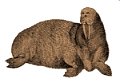 rozmar_12