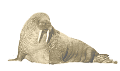 rozmar_14
