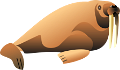 rozmar_4