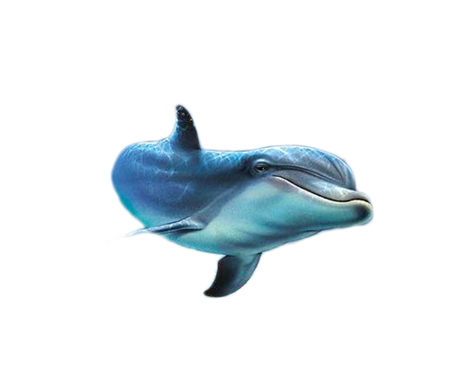tengeri_halak_102.png