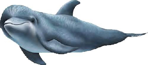 tengeri_halak_107.png