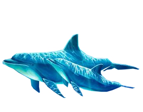 tengeri_halak_109.png