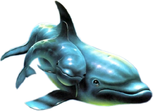 tengeri_halak_117.png
