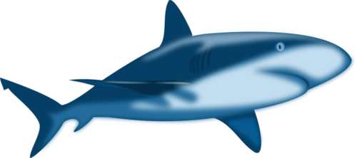 tengeri_halak_148.png
