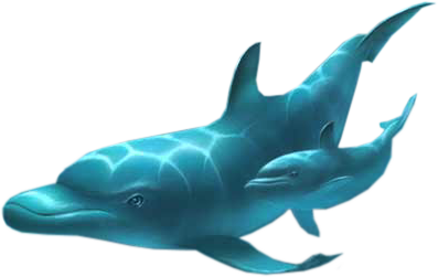 tengeri_halak_167.png