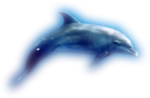 tengeri_halak_19.png