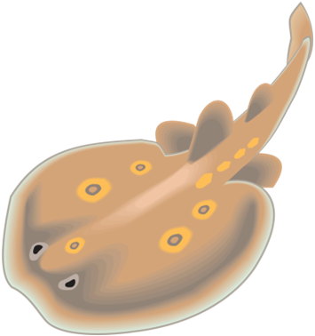 tengeri_halak_220.png
