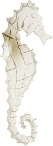 tengeri_halak_236.png