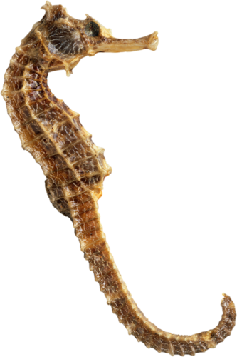 tengeri_halak_245.png