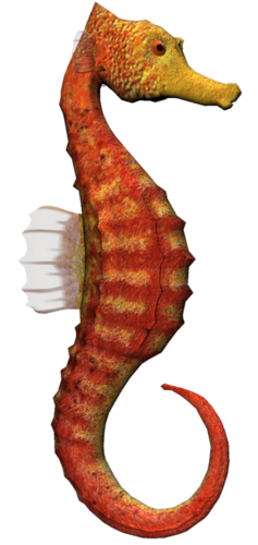tengeri_halak_280.png