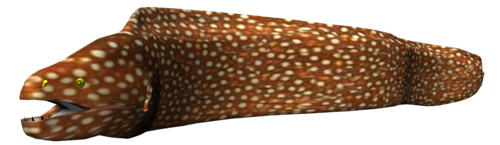 tengeri_halak_285.png