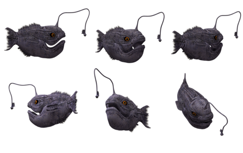 tengeri_halak_298.png