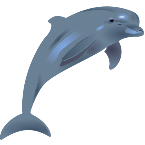 tengeri_halak_306.png