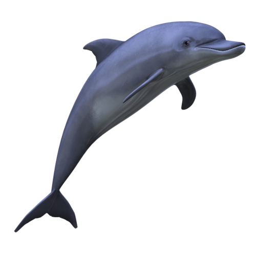 tengeri_halak_323.png