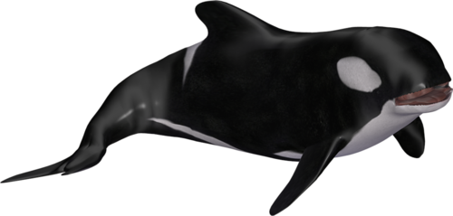 tengeri_halak_327.png