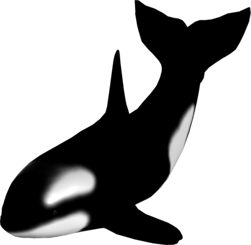 tengeri_halak_334.png