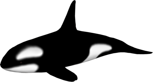 tengeri_halak_335.png