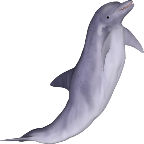 tengeri_halak_343.png