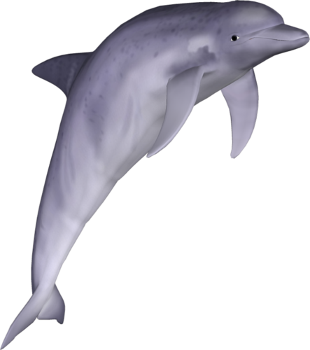 tengeri_halak_345.png
