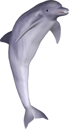 tengeri_halak_346.png