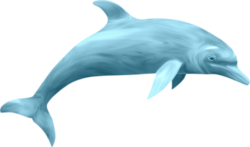 tengeri_halak_350.png
