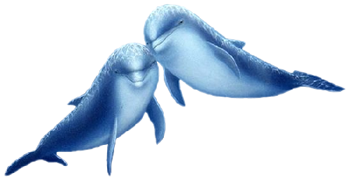 tengeri_halak_355.png