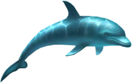 tengeri_halak_363.png