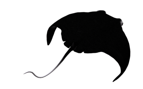 tengeri_halak_387.png