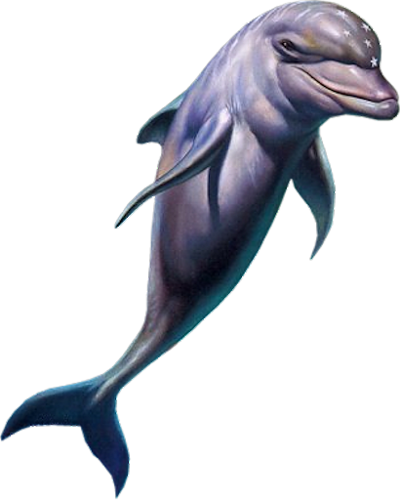 tengeri_halak_398.png