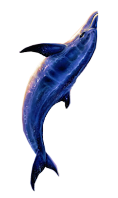 tengeri_halak_400.png