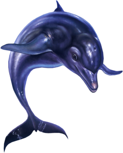 tengeri_halak_402.png