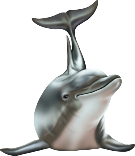 tengeri_halak_426.png