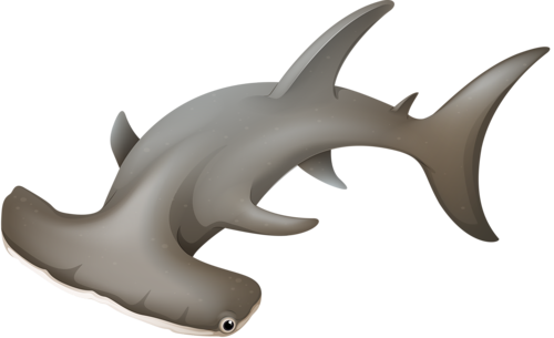 tengeri_halak_429.png