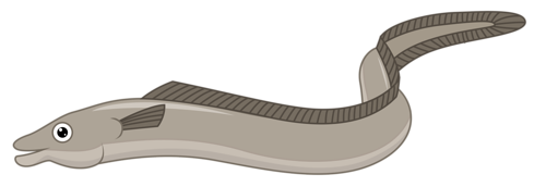 tengeri_halak_433.png
