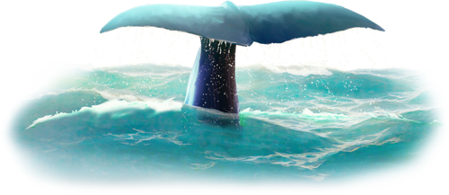 tengeri_halak_79.png