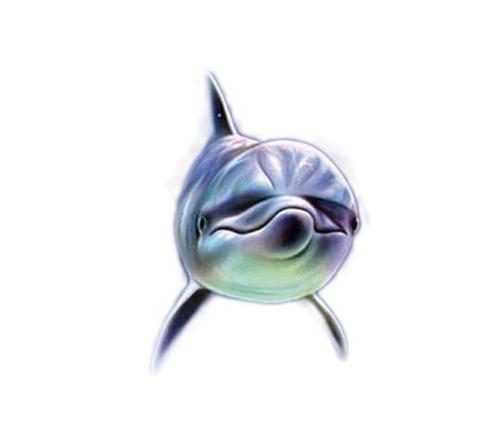 tengeri_halak_90.png